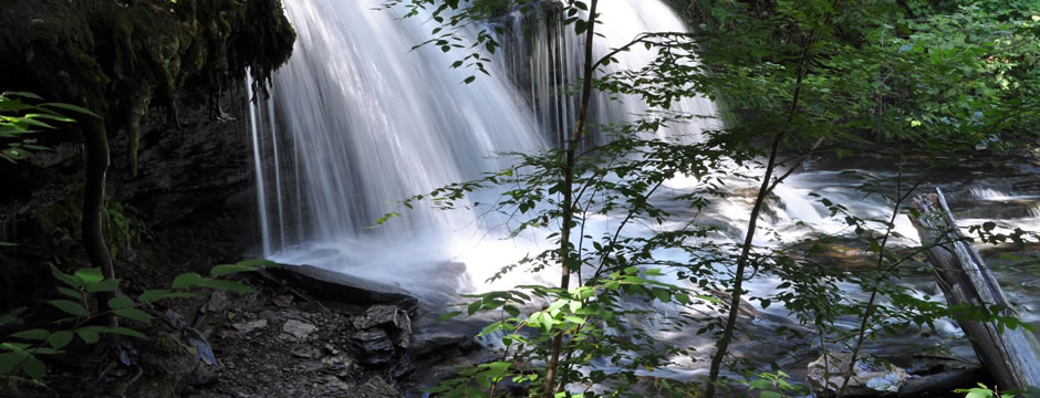 在线电话轰炸云呼死你